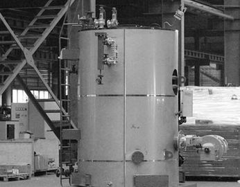 Mini Vertical Steam Gas Fired-het Type van Boiler Natuurlijke Omloop Verticale Drie Terugkeerstructuur
